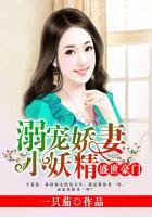 盛世豪门溺宠娇妻小妖精