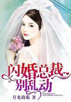 闪婚总裁别乱来免费