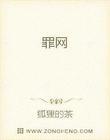 罪网迷布国语在线观看