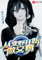 从文野开始做交易类似