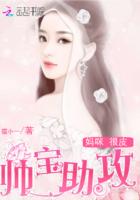 妈咪太优秀书包网