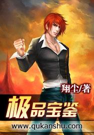 极品宝鉴电影在线观看完整版