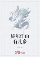 江山几多儿女情