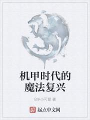 机甲时代的魔法复兴怎么获得