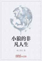 小狼飞飞