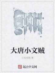 大唐之小