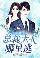 萌妻嫁到总裁大人宠不停