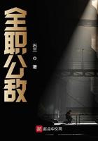 全职公敌 笔趣阁