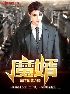 魔婿我有一枚造化金符哪里能看