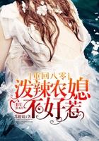 重生八零泼辣小媳妇