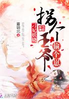 拐个王爷偷个崽免费阅读