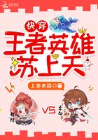 快穿王者英雄快到碗里来