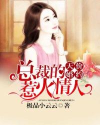 天价情人总裁惹爱成瘾