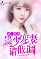 墨少宠妻请低调