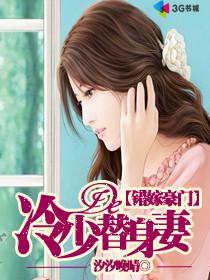 邪魅冷少的替身妻乐阅读