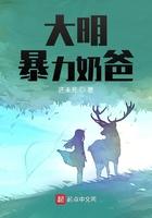 大明暴力奶爸txt奇书网