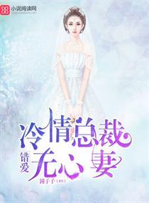 错爱冷情总裁前夫来袭