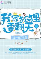 我家狐狸总想成仙