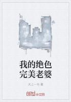 我的绝色老婆洪