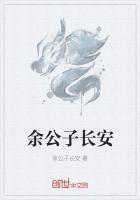 长安公子的匪情免费阅读