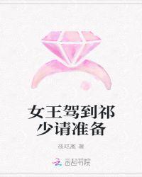 女王驾到hi少将先生免费阅读全文