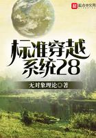 穿越标准法[重生