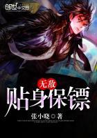 无敌贴身保镖免费阅读