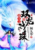 逆天龙之战