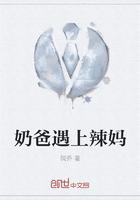 奶爸遇上辣妈免费阅读