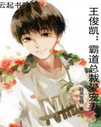 霸道总裁王俊凯宠妻公式