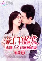 豪门宠婚恶魔首席追前妻
