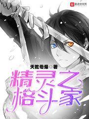 精灵格斗家技能详细介绍