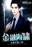 金融海啸一场新鸦片战争书评