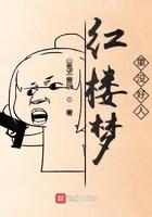 红楼梦最坏的人