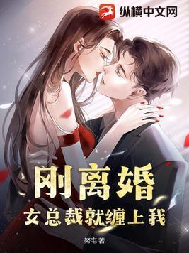 女总裁第一章离婚