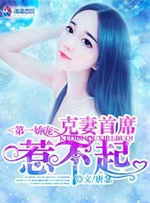 克妻总裁之第七任老婆全本