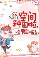 空间穿越双男主种田文