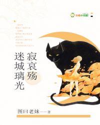 迷城之光攻略流程