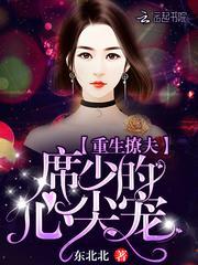 重生撩夫席少的心尖宠 东北北