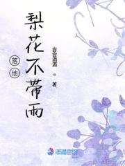 梨花落地的诗句