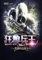 美女总裁特种兵高手林浩txt