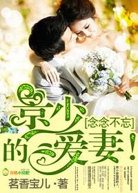 念念不忘景少的爱妻大结局后面那把火是谁犯的