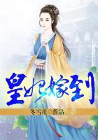 皇妃嫁到相公组队去经商