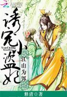 江山为饵诱宠小盗妃全文免费阅读