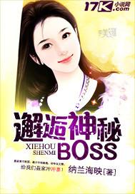 邂逅神秘boss免费阅读
