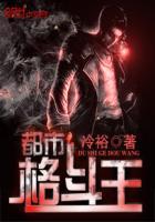 格斗都市在线观看