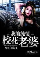 我的纯情校花老婆免费阅读