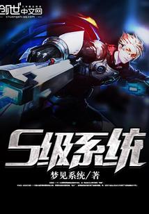 系统SSS级