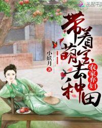 农门弃妇带着萌宝去寻夫