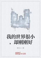 我的世界太小了